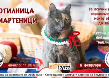 Работилница за мартеници в Русе подпомага бездомните животни