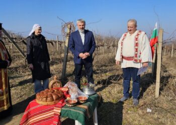 Ритуално зарязаха лозите в Пиргово и представиха местни вина