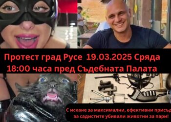 Русе се присъединява към протестите срещу убийците на животни