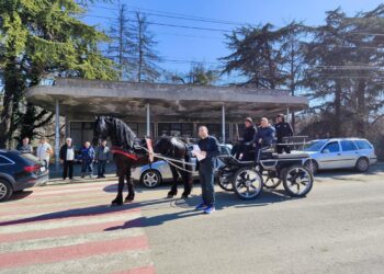 Коне и впрягове дефилираха в Караманово на Тодоровден