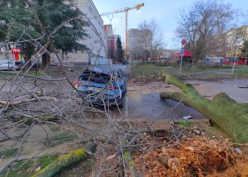 Затиснатият от дърво автомобил в Русе е напълно потрошен /ВИДЕО/