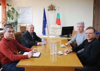 Ще проверяват за опасни дървета, за да няма аварии по електропроводите в Русенско
