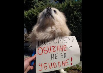 Русенският митрополит Наум: Не на насилието над животните!