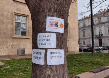 Дърво се превърна в табло на протест пред Съдебната палата в Русе /ВИДЕО/