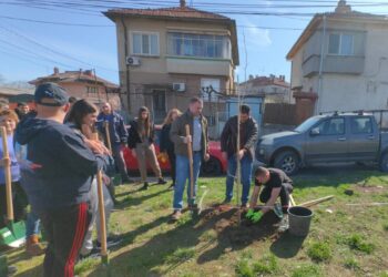 За Деня на водата: ВиК-Русе засади чинари, за които ще се грижи /ВИДЕО/