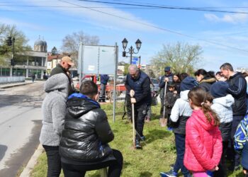 Ученици от Бяла заедно с кмета засадиха 100 фиданки по бул.“Васил Левски“