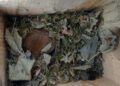 Провериха заселеността на къщичките за сънливци във Ветовско