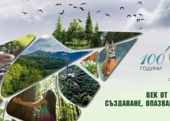 Започва Седмицата на гората, в Русенско ще има редица събития