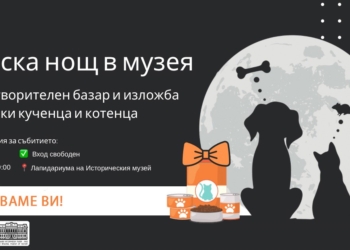 Детска нощ в музея с котенца и кученца ще се състои в Русе