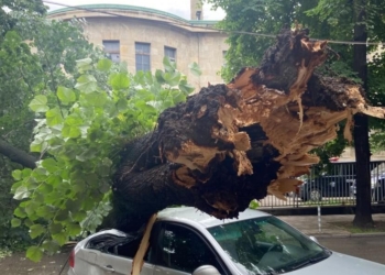 Огромна липа се стовари върху автомобил в центъра на Русе