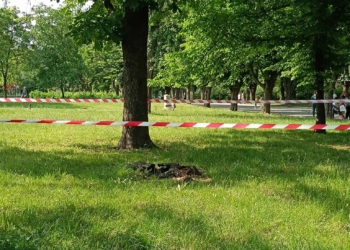 Родители алармират: Децата играят в парка в Русе край рояк от опасни насекоми