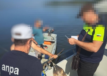 ИАРА-Русе и румънците направиха съвместна проверка за риболова по река Дунав