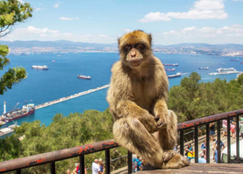 Европейски маршрути: Кратка среща с Гибралтар /ВИДЕО/