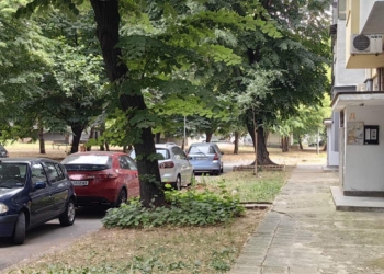 Паднало дърво потроши автомобили в кв.“Здравец-Изток“