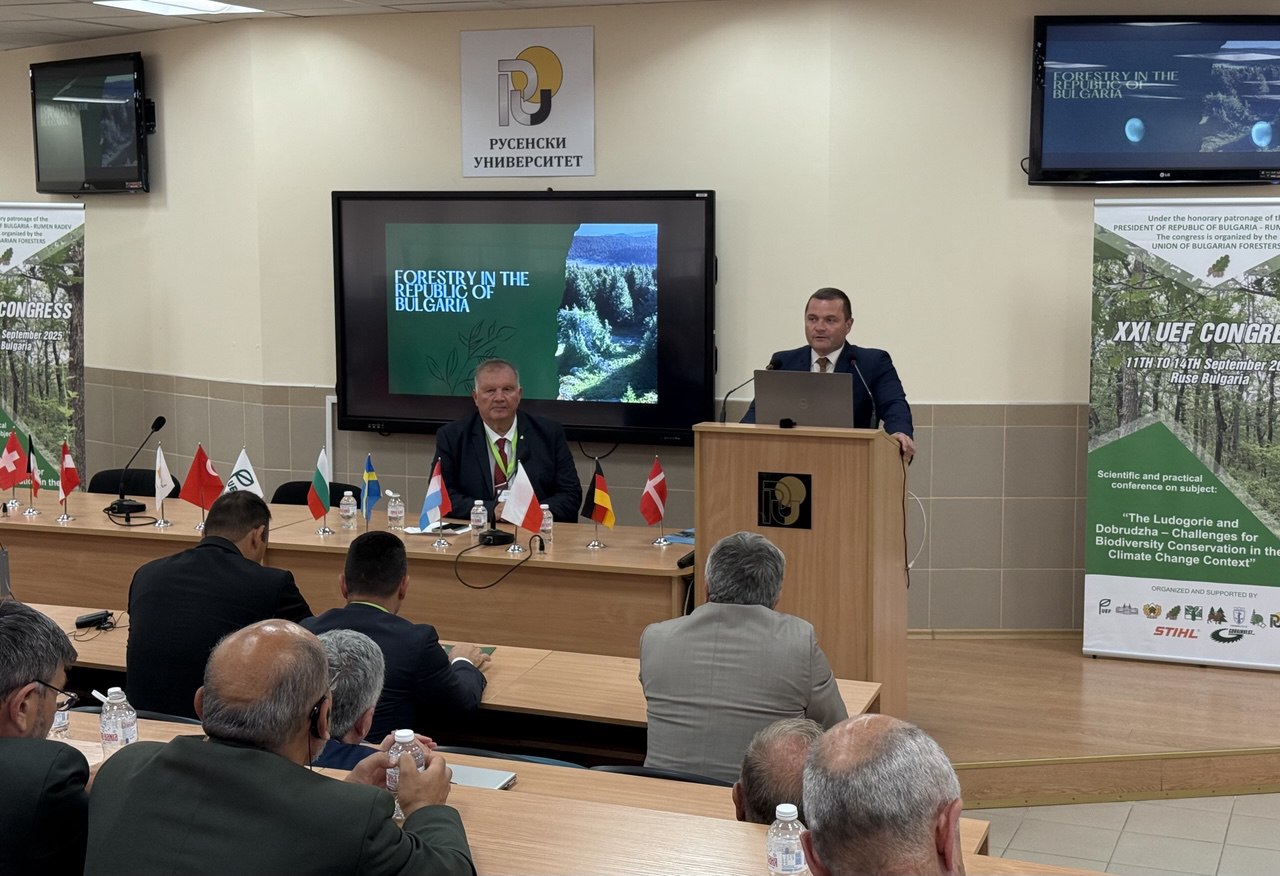 Русе Медиа - За да знаеш повече Русе Медиа - За да знаеш повече