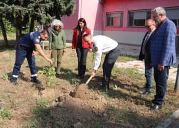 Засадиха дърво на приятелството между Русе и Гюргево пред Първа пожарна в Русе