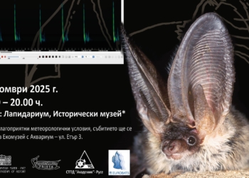 Нощта на прилепите ще отбележат в Русе с интересни инициативи