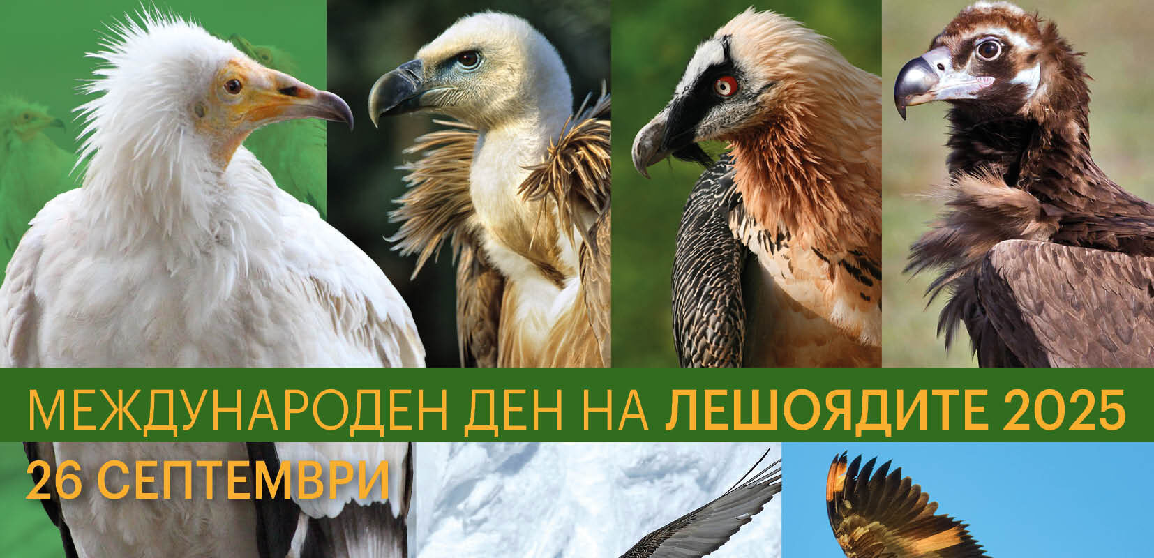 Русе Медиа - За да знаеш повече Русе Медиа - За да знаеш повече