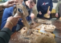 Русе Медиа - За да знаеш повече