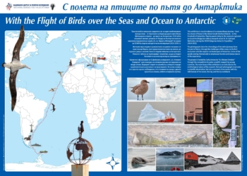 Изложба, посветена на птиците и Антарктида, гостува в Русе