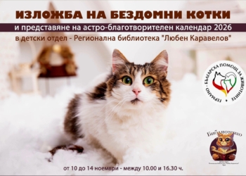 Изложба на спасени котета правят в библиотеката в Русе