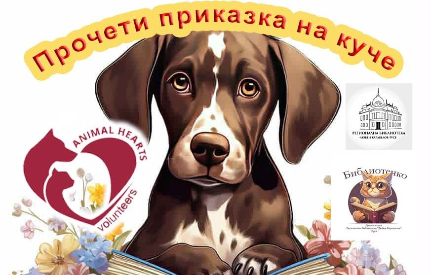 Русе Медиа - За да знаеш повече Русе Медиа - За да знаеш повече