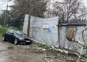 Пожарната е рязала множество паднали дървета в различни квартали на Русе