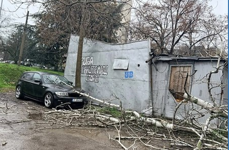 Русе Медиа - За да знаеш повече Русе Медиа - За да знаеш повече