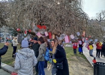 Дървото на влюбените в Русе ще „разцъфне“ отново, ще има серия събития дотогава