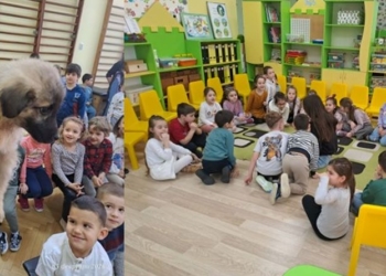 Деца, родители и учители от ДГ„Русалка“ – с грижа за бездомните животни в Русе