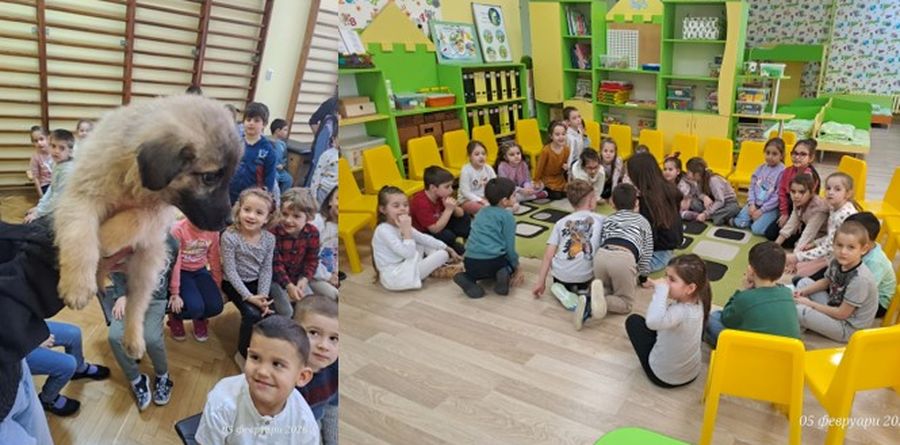 Русе Медиа - За да знаеш повече Русе Медиа - За да знаеш повече