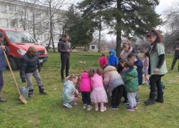 Децата от ДГ „Славейче“ в Борово засадиха дръвчета в двора, имат и нов покрив
