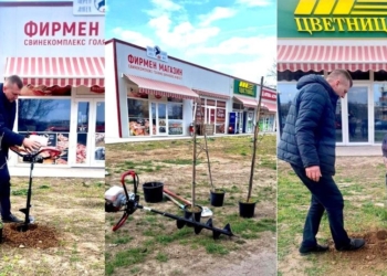 „Общински пазари“ засадиха дръвчета пред пазар „Чародейка-Север“