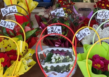 Какви са цените на цветята в Русе в навечерието на 8-ми март