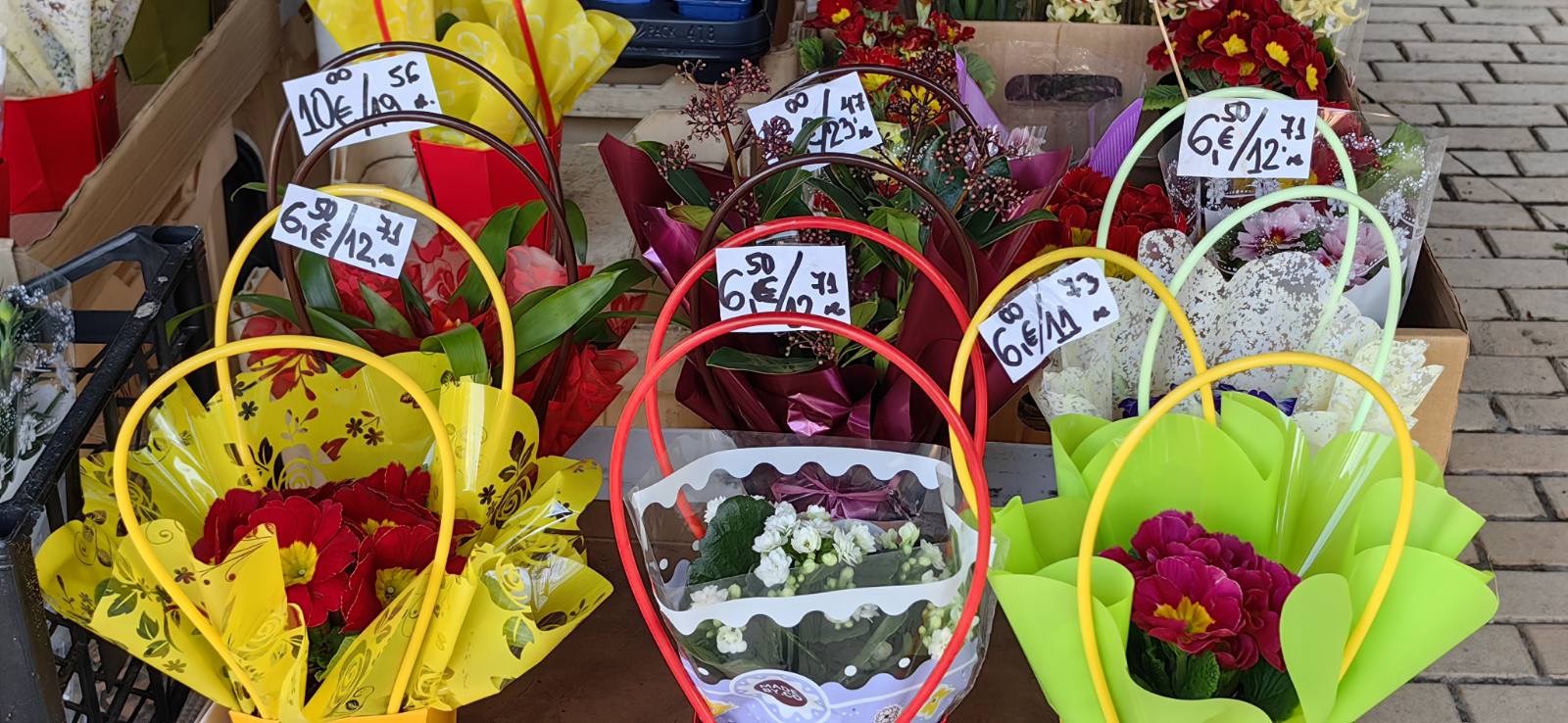 Русе Медиа - За да знаеш повече Русе Медиа - За да знаеш повече