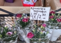 Русе Медиа - За да знаеш повече