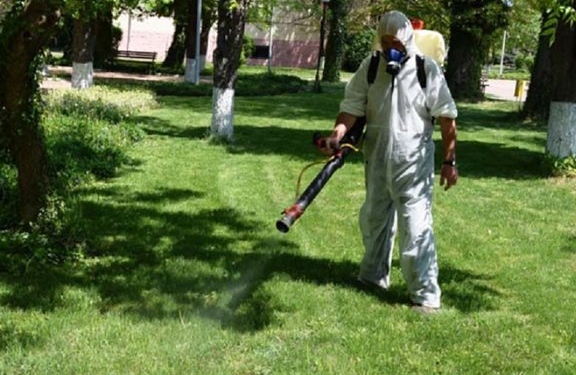 Русе Медиа - За да знаеш повече