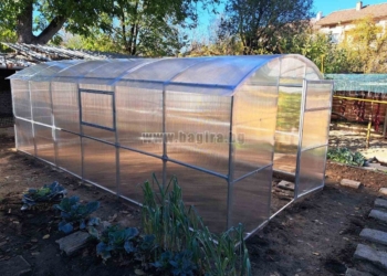 Как да организираме пространството в оранжерии за по-удобна работа и по-добри резултати