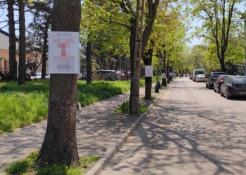 Партия избра да прави агитация нерегламентирано по дърветата в Русе