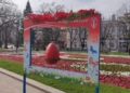 Русе Медиа - За да знаеш повече