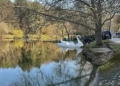 Русе Медиа - За да знаеш повече Екоинспекцията забрани водните колела в езерото с лилиите в Лесопарка