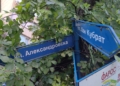 Русе Медиа - За да знаеш повече