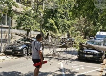 Дърво се стовари върху два автомобила в центъра на Русе