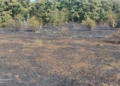 Пожарникари и доброволци се бориха с голям пожар в Ново село