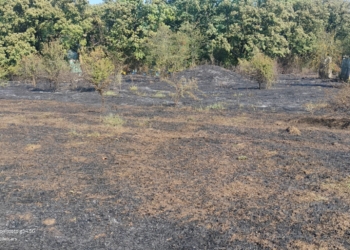 Пожарникари и доброволци се бориха с голям пожар в Ново село