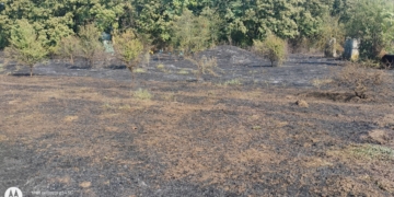 Пожарникари и доброволци се бориха с голям пожар в Ново село