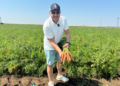 Земеделски производители от Русенско удвоиха доставките си за Kaufland само за година