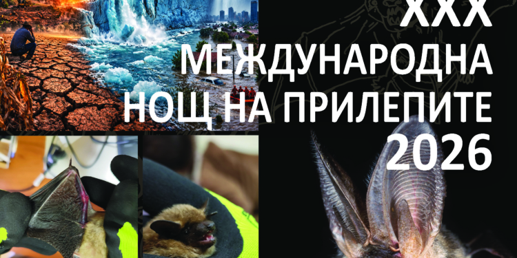 Русе Медиа - За да знаеш повече Русе Медиа - За да знаеш повече