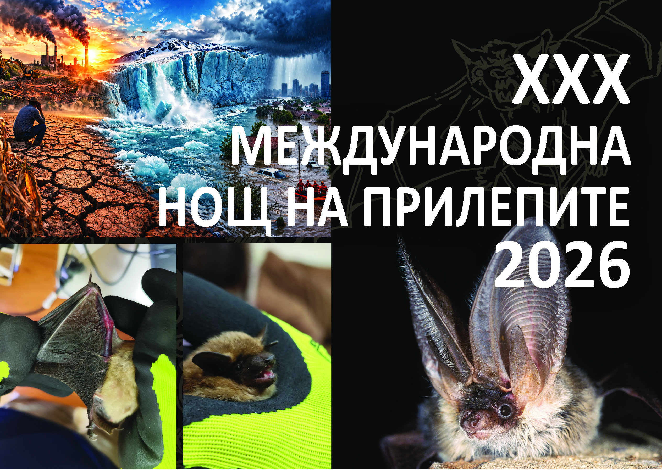 Русе Медиа - За да знаеш повече Русе Медиа - За да знаеш повече