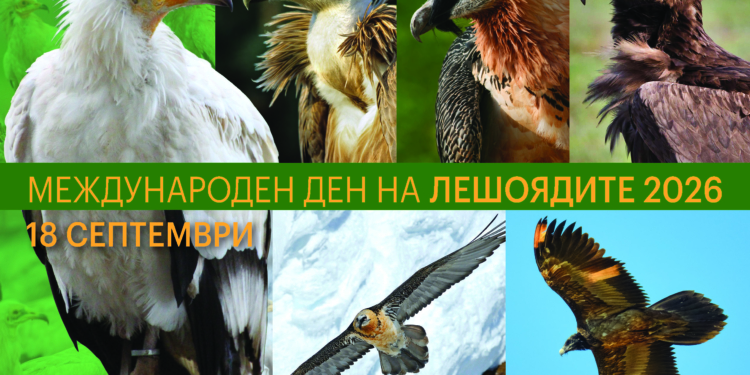 Русе Медиа - За да знаеш повече
